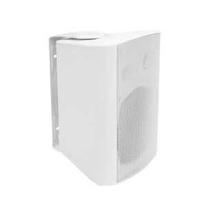 Wall Mount Speaker (40W).